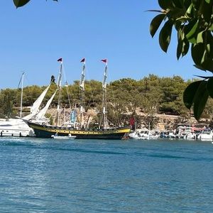 Meet your Posher, Sue